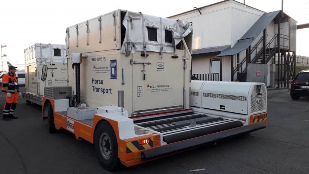 From AZ How Animal's are transported safely around the world