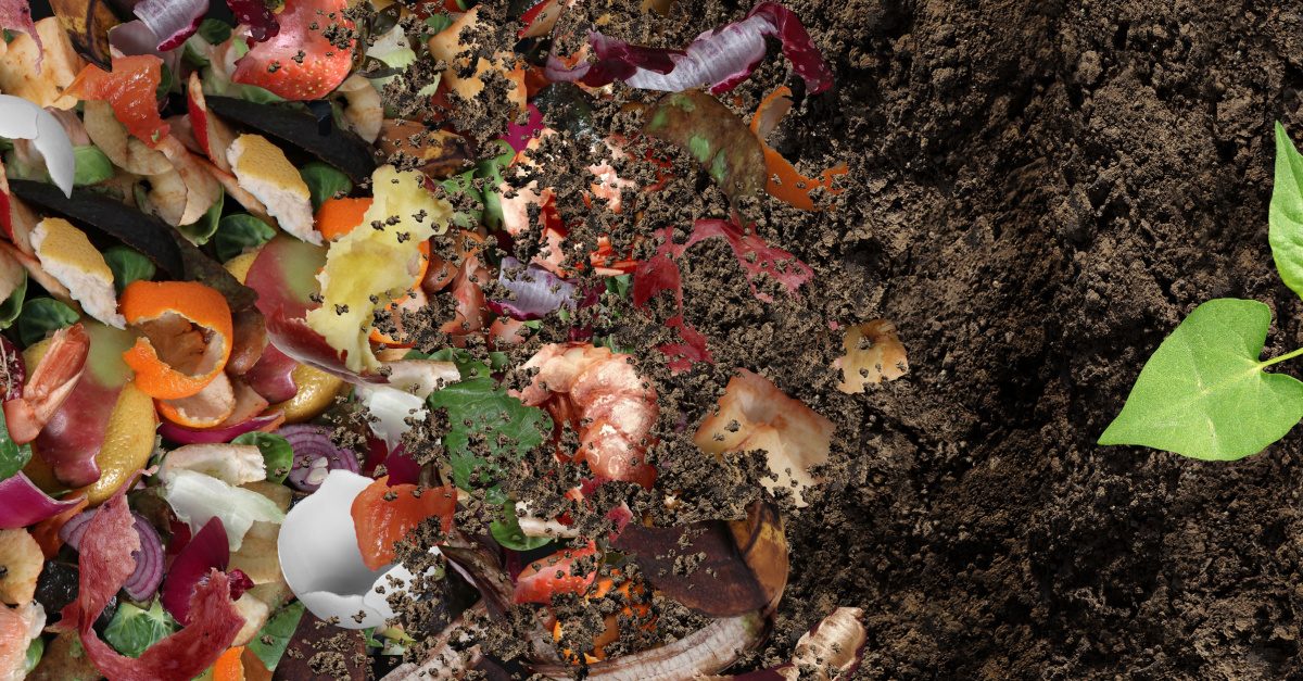 Carbon Footprint: Food waste