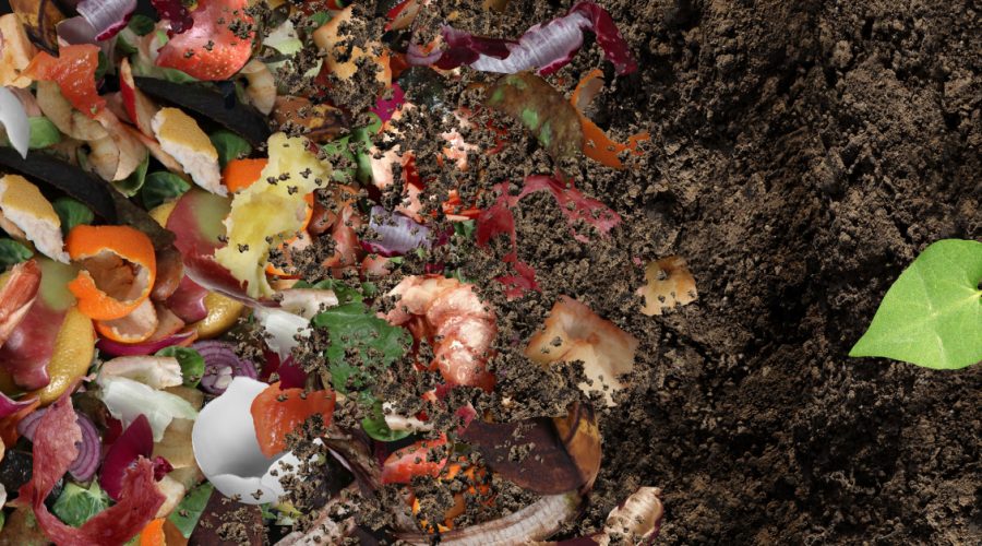 Carbon Footprint: Food waste