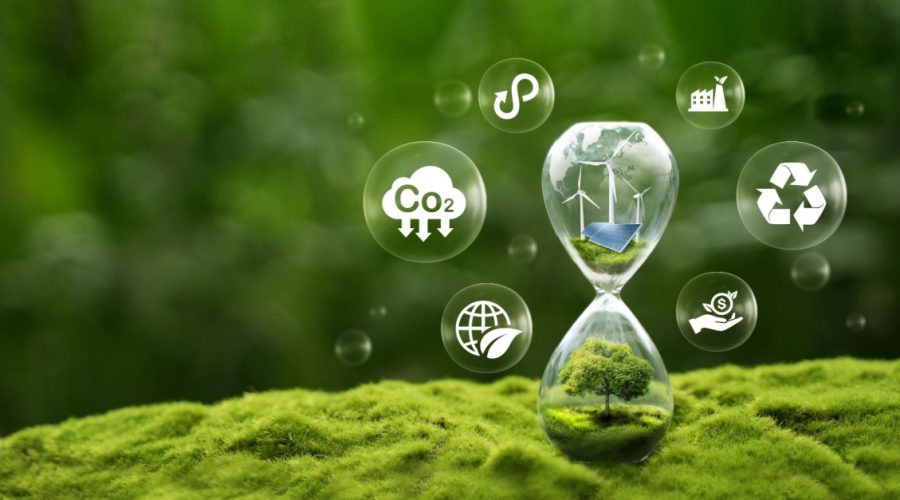 Overcoming Supply Chain Disruptions: Strategies for Resilience and Sustainability