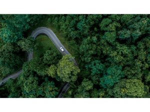 Electric Vehicles Will Strengthen the Local Supply Chain Financially