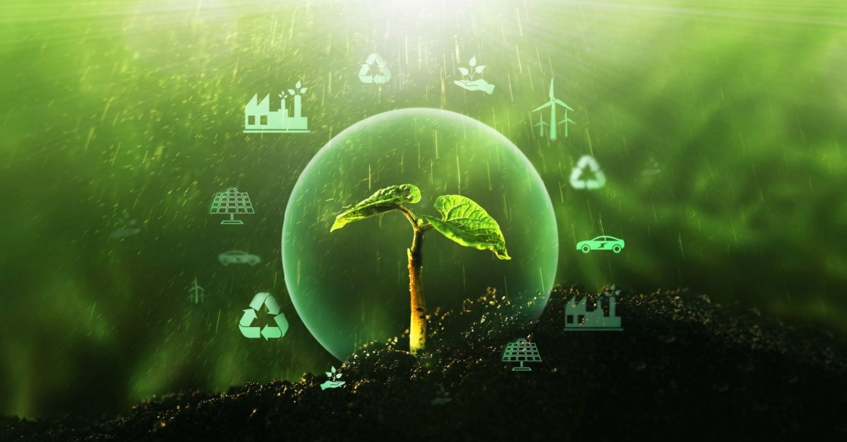 Strategies Procurement Professionals Can Use to Promote Sustainable Sourcing