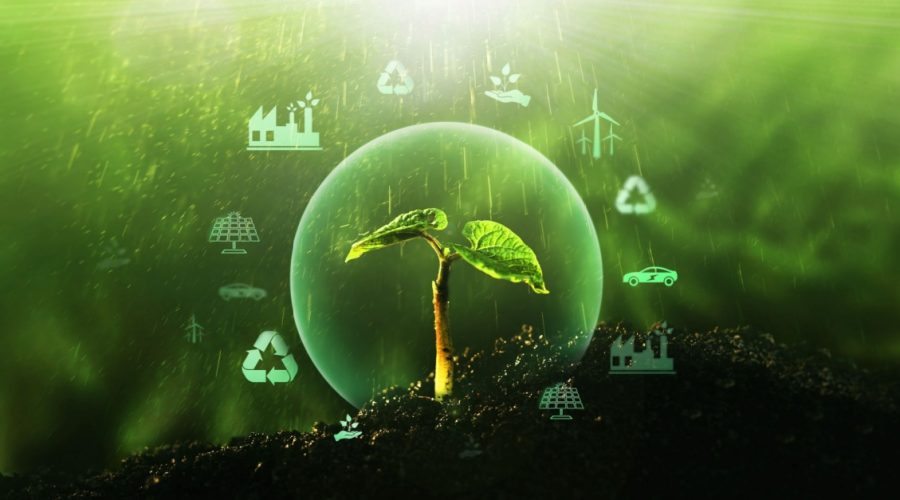 Strategies Procurement Professionals Can Use to Promote Sustainable Sourcing