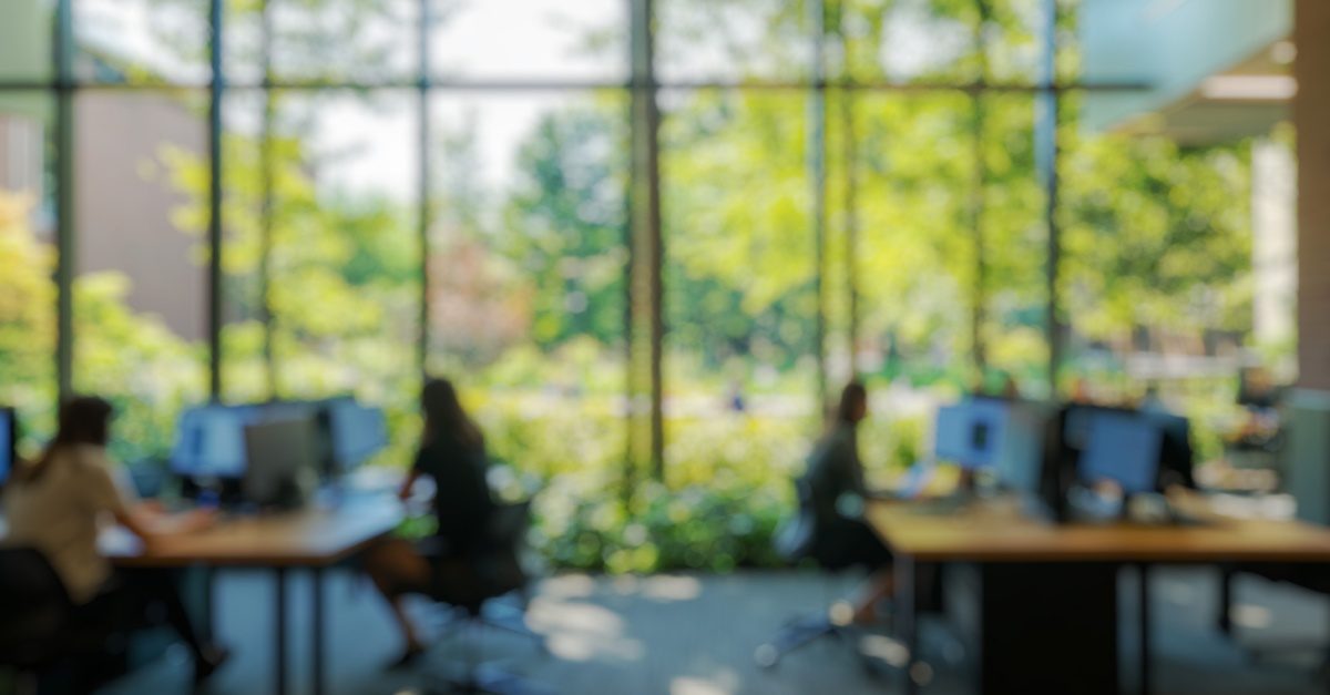 Creating green spaces: five top tips for businesses looking to renovate
