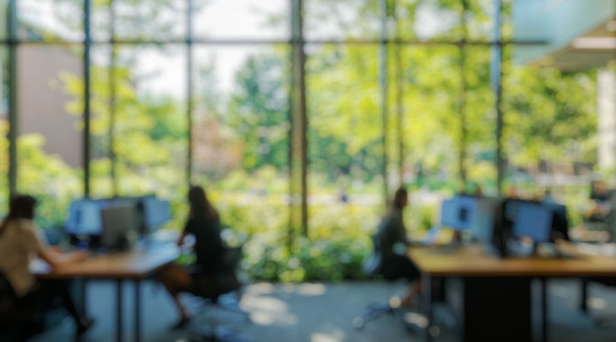 Creating green spaces: five top tips for businesses looking to renovate