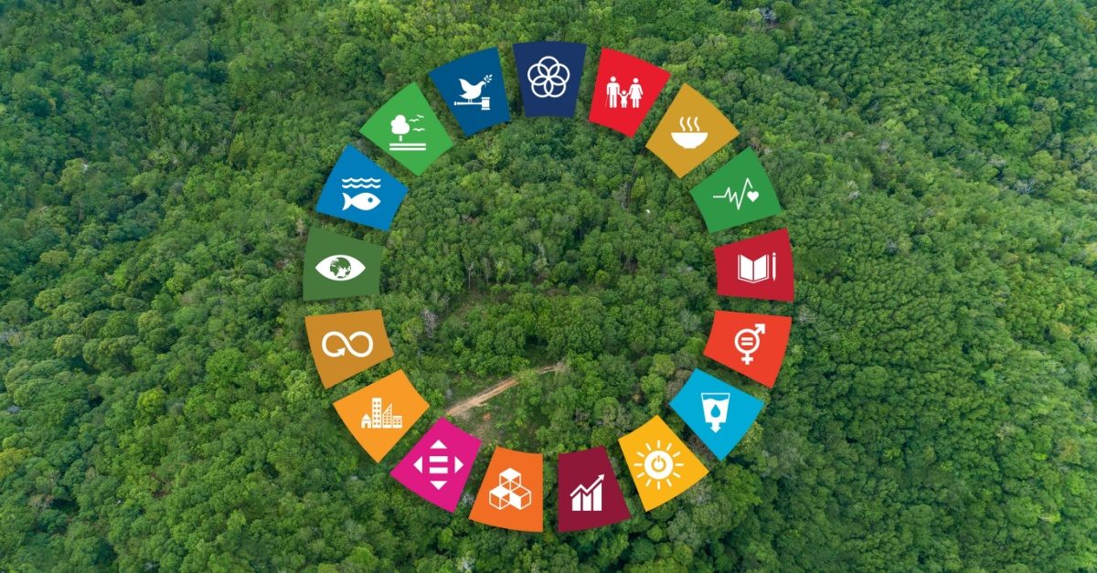 The Role of Circular Economy Principles in Sustainable Supply Chain Management