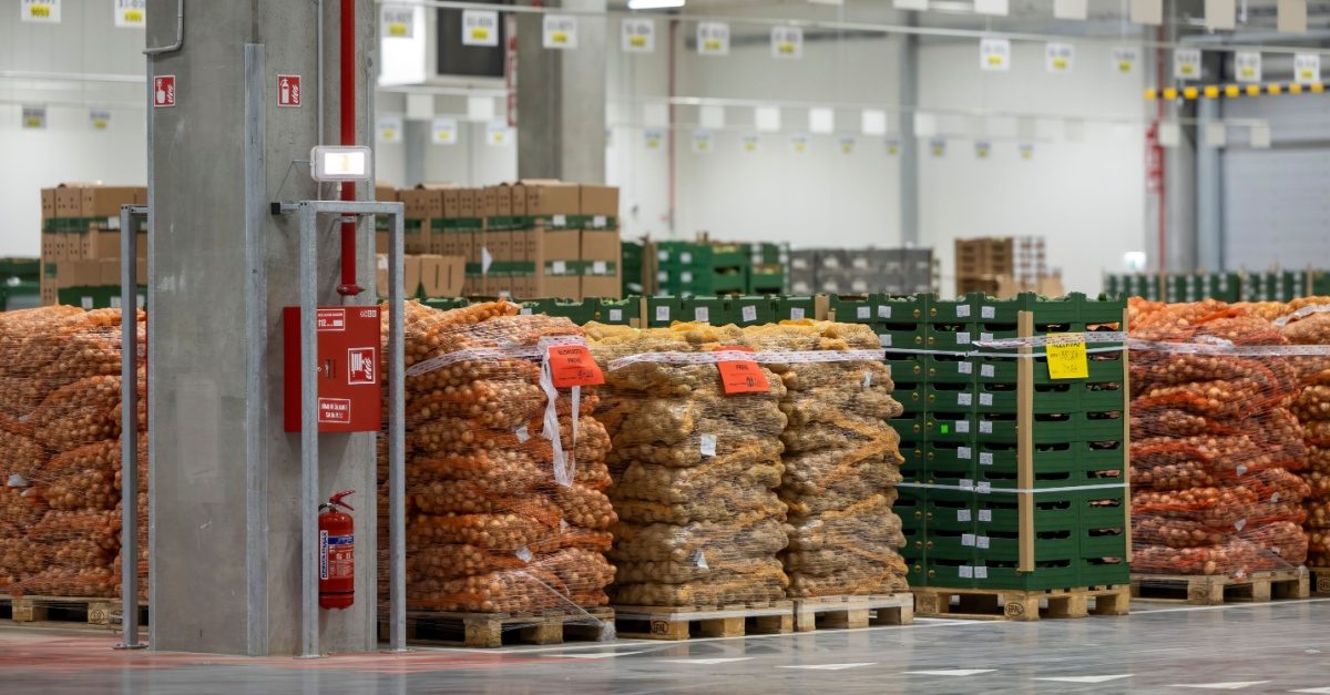 Meeting Seasonal Food Demand Through Smarter Supply Chain Strategies