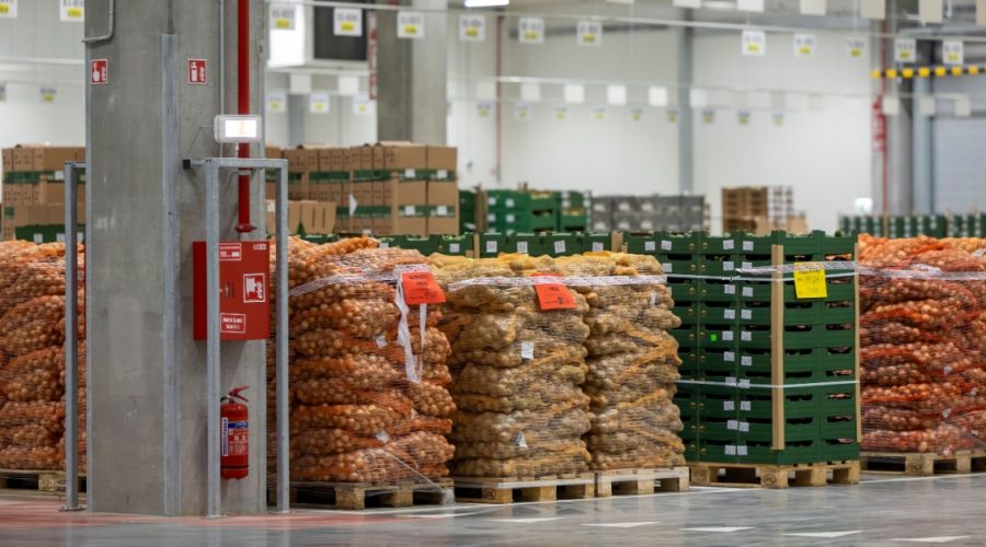 Meeting Seasonal Food Demand Through Smarter Supply Chain Strategies