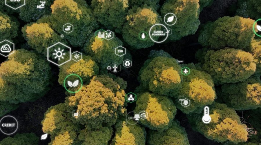 Reducing Carbon Emissions in Last-Mile Delivery