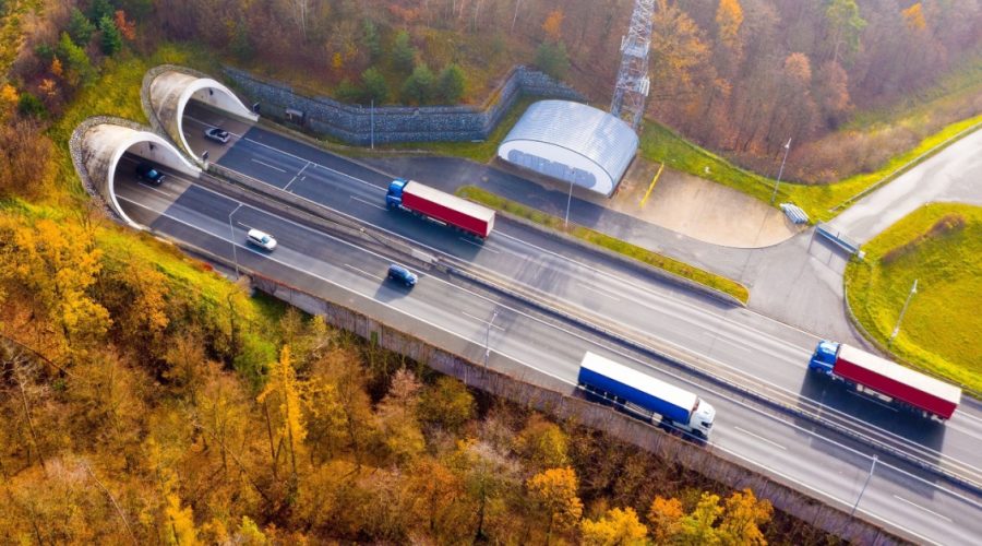 Keeping Drivers Well While Keeping Goods Moving