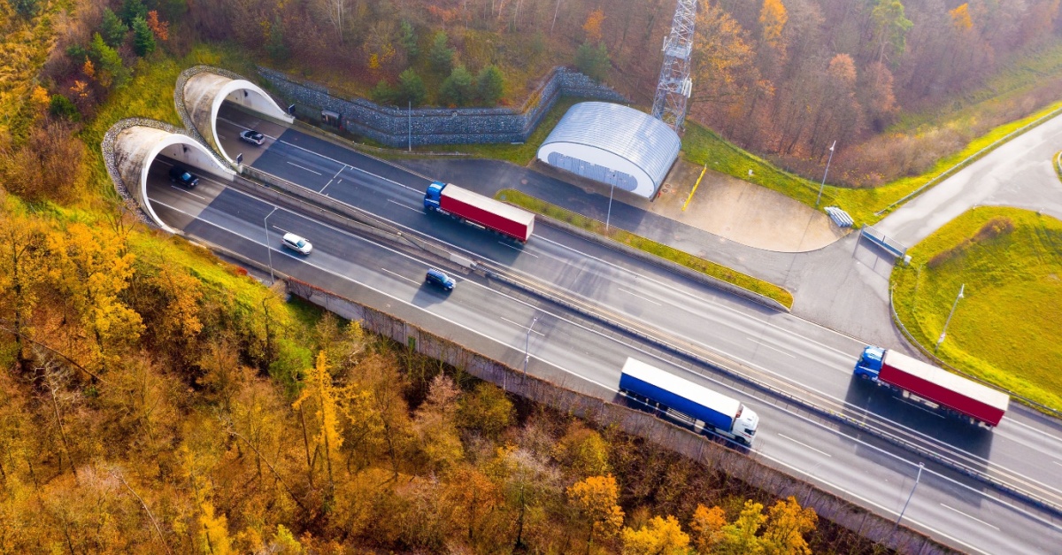 Keeping Drivers Well While Keeping Goods Moving