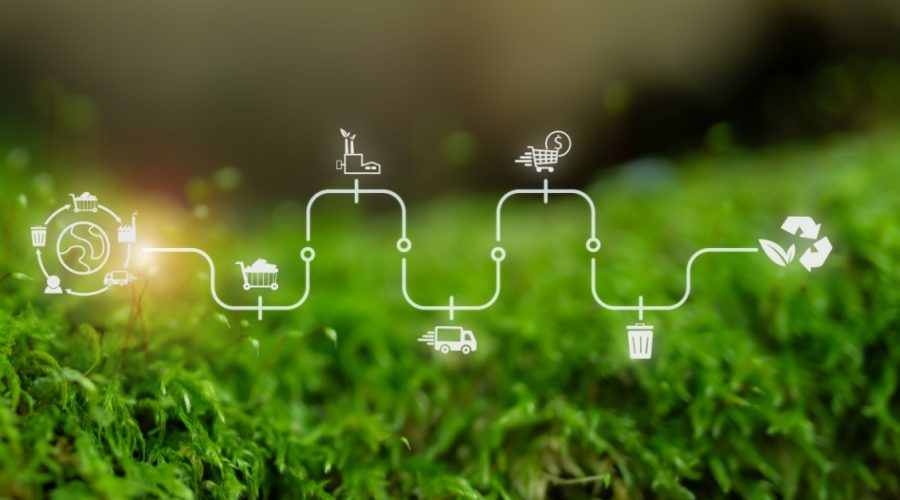 Sustainable Supply Chain Practices for Modern Businesses