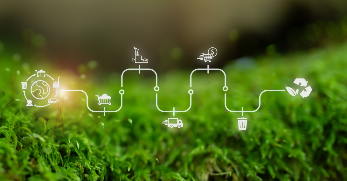 Sustainable Supply Chain Practices for Modern Businesses