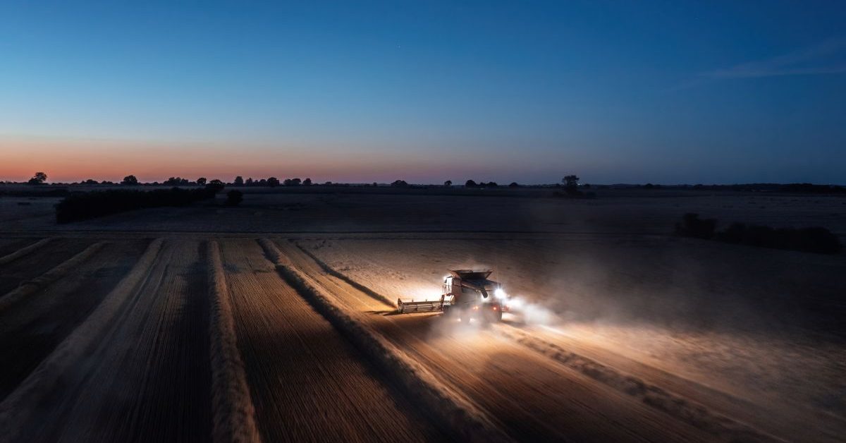 How Post?Harvest Technology Supports Environmental Goals in Food Supply Chains