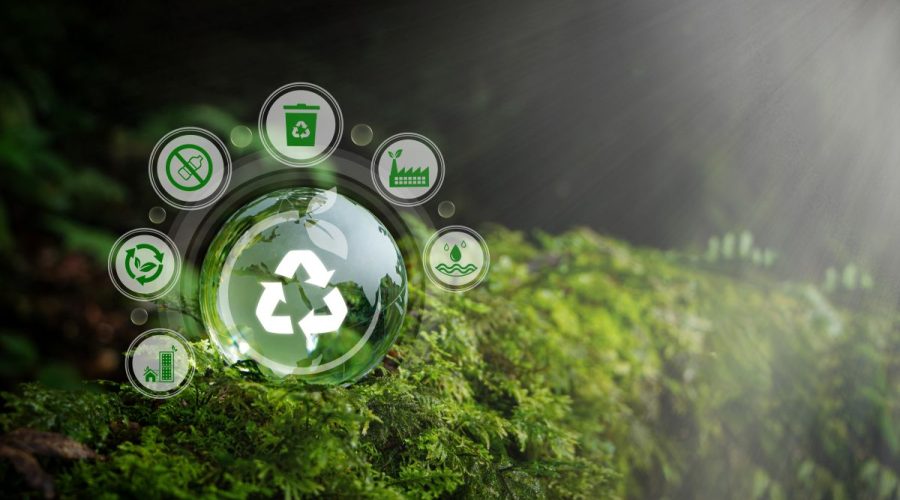 Managing Contamination Risk When Sourcing Recycled Materials